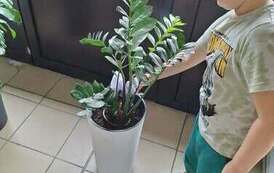 29d74f5b-fdb2-42bc-ab45-0911aee4a26f