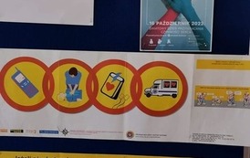 311737250_543465261118294_490575168140344080_n