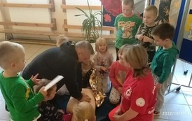 311455882_543465767784910_5991969298294297913_n