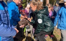 312101104_463347479106472_7929374631250559734_n