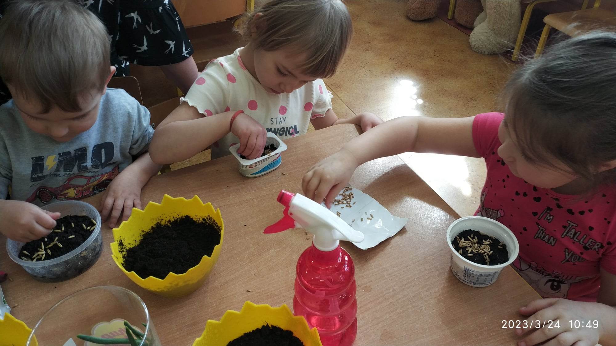 338175426_890461662216417_6470045584430595216_n